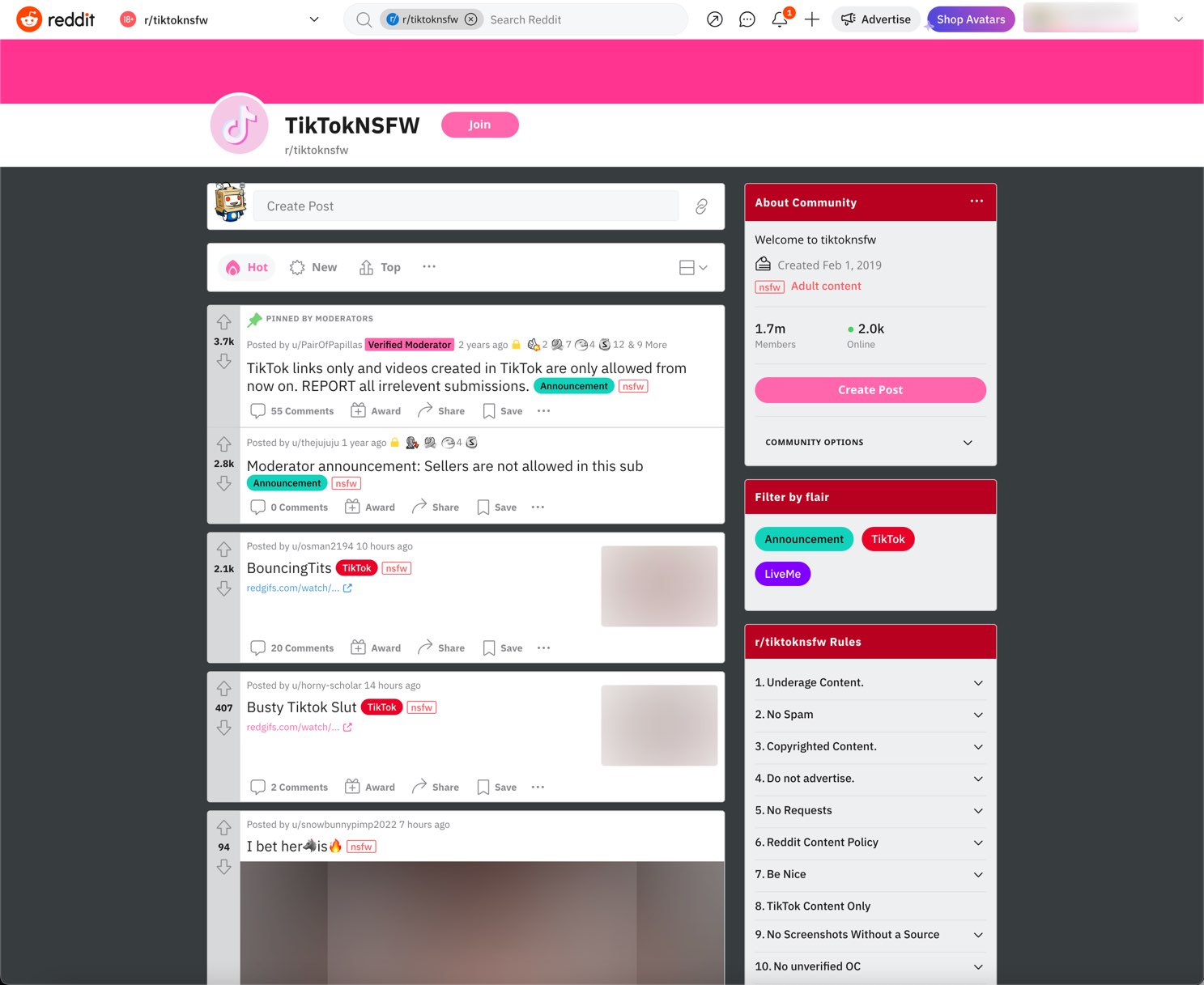 TikTokNSFW & TikTok Leak Sites Like TikTokNSFW.com