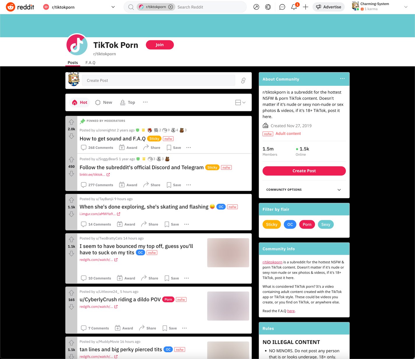 TikTok Porn & Social Media Porn Sites Like Reddit.comrtiktokporn
